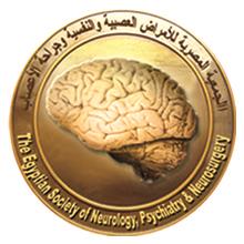 1st International Egyptian Stroke Conference